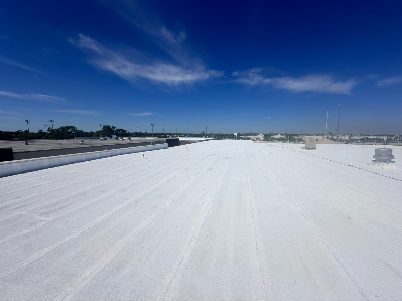 Roof membrane damage on a Southwest Florida commercial property